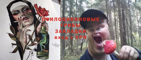 ECSTASY Алексин